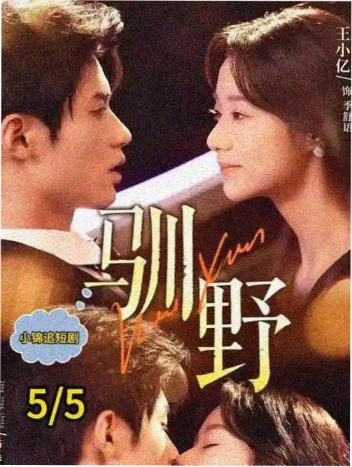 四条观看顺序路线对照示意图